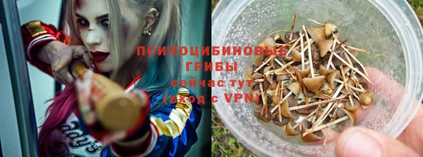 COCAINE Белокуриха