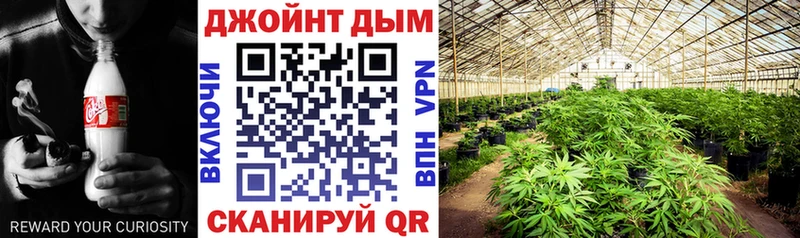 Купить закладки  Радужный  Бошки Шишки гибрид 